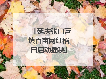 延庆张山营镇百亩网红稻田启动插秧