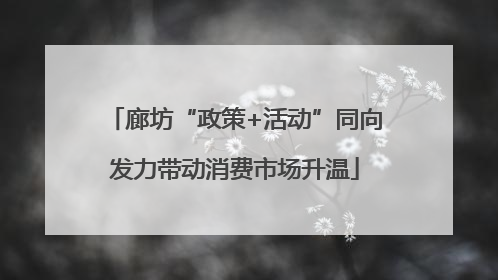 廊坊“政策+活动”同向发力带动消费市场升温