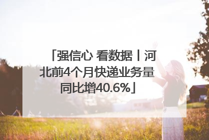 强信心 看数据丨河北前4个月快递业务量同比增40.6%