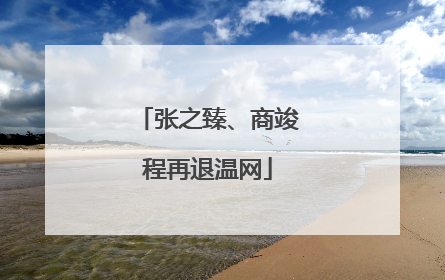 张之臻、商竣程再退温网