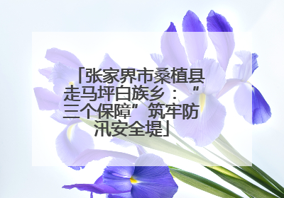 张家界市桑植县走马坪白族乡：“三个保障”筑牢防汛安全堤