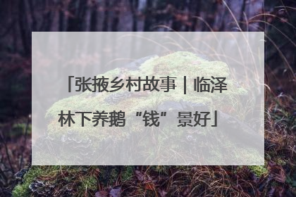 张掖乡村故事｜临泽林下养鹅“钱”景好