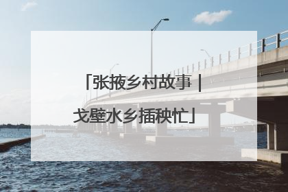 张掖乡村故事｜戈壁水乡插秧忙