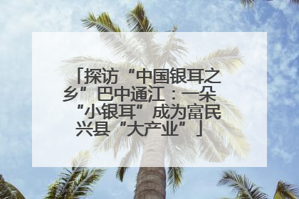 探访“中国银耳之乡”巴中通江：一朵“小银耳”成为富民兴县“大产业”