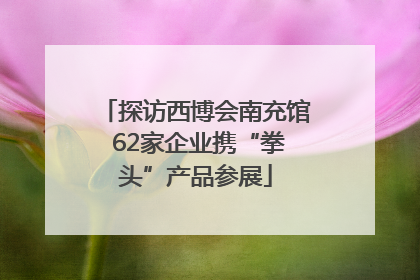 探访西博会南充馆 62家企业携“拳头”产品参展