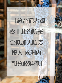 总台记者观察丨北约防长会拟加大防务投入 欧洲内部分歧难掩