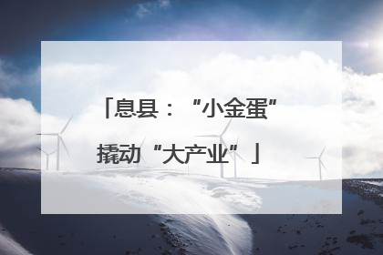息县：“小金蛋”撬动“大产业”