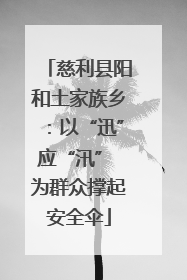 慈利县阳和土家族乡：以“迅”应“汛” 为群众撑起安全伞