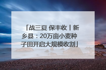 战三夏 保丰收丨新乡县：20万亩小麦种子田开启大规模收割