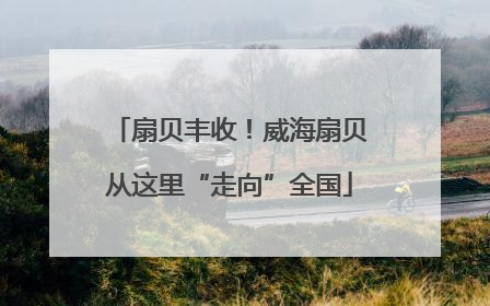 扇贝丰收！威海扇贝从这里“走向”全国