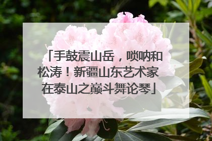 手鼓震山岳，唢呐和松涛！新疆山东艺术家在泰山之巅斗舞论琴