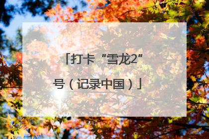 打卡“雪龙2”号（记录中国）