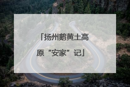 扬州鹅黄土高原“安家”记