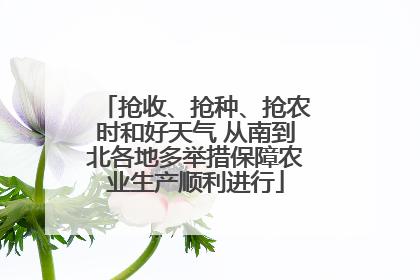 抢收、抢种、抢农时和好天气 从南到北各地多举措保障农业生产顺利进行