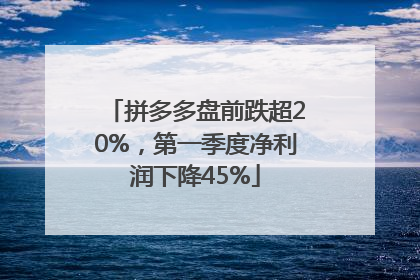 拼多多盘前跌超20%，第一季度净利润下降45%