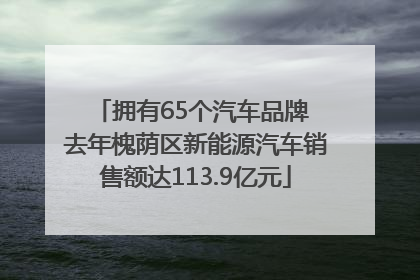 拥有65个汽车品牌 去年槐荫区新能源汽车销售额达113.9亿元