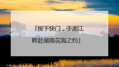 按下快门，于湘江畔赴湖南花海之约