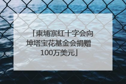 柬埔寨红十字会向坤塔宝花基金会捐赠100万美元