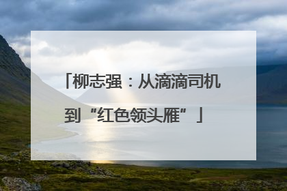 柳志强：从滴滴司机到“红色领头雁”