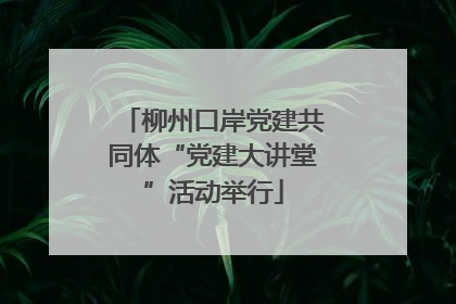 柳州口岸党建共同体“党建大讲堂”活动举行