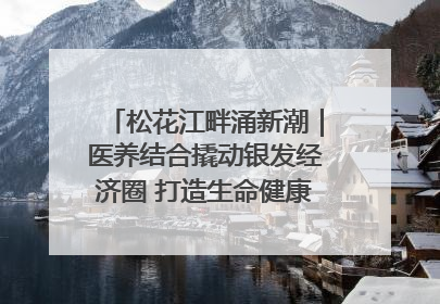松花江畔涌新潮｜医养结合撬动银发经济圈 打造生命健康产业新样本