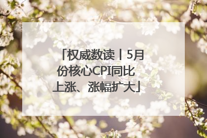 权威数读丨5月份核心CPI同比上涨、涨幅扩大