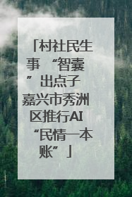 村社民生事 “智囊”出点子 嘉兴市秀洲区推行AI“民情一本账”