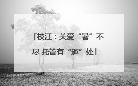 枝江：关爱“暑”不尽 托管有“趣”处