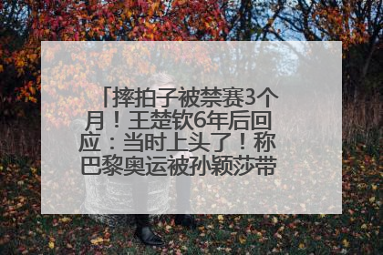 摔拍子被禁赛3个月！王楚钦6年后回应：当时上头了！称巴黎奥运被孙颖莎带着打，搭档8年“一个眼神就能懂”