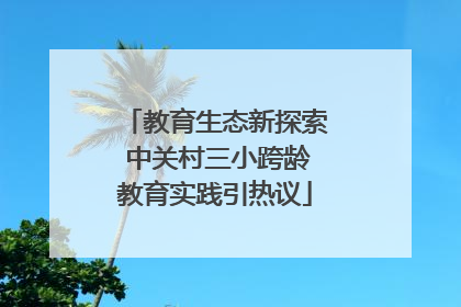 教育生态新探索 中关村三小跨龄教育实践引热议