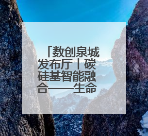 数创泉城发布厅丨碳硅基智能融合——生命科学与人工智能的边界探索