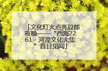 文化灯火点亮夏都夜晚——“西海2261・河湟文化大集”首日见闻