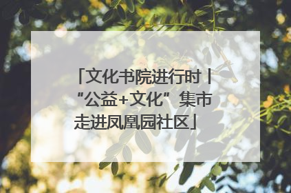 文化书院进行时丨“公益+文化”集市走进凤凰园社区