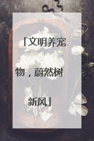 文明养宠物，蔚然树新风