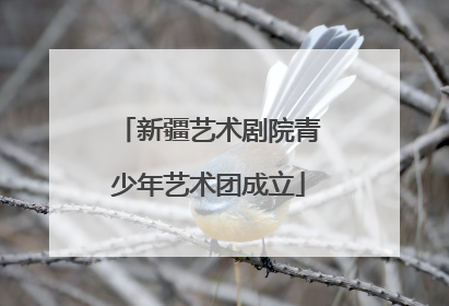 新疆艺术剧院青少年艺术团成立