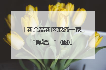 新余高新区取缔一家“黑鞋厂”(图)