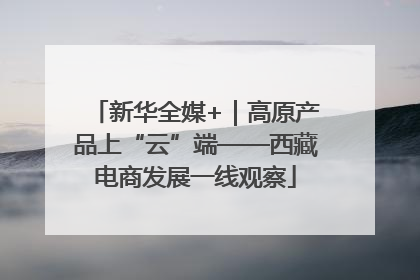 新华全媒+｜高原产品上“云”端——西藏电商发展一线观察