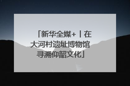 新华全媒+丨在大河村遗址博物馆寻溯仰韶文化