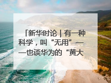 新华时论｜有一种科学，叫“无用”——也谈华为的“黄大年茶思屋”