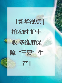 新华视点｜抢农时 护丰收 多维度保障“三夏”生产