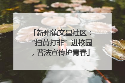 新州镇文星社区：“扫黄打非”进校园，普法宣传护青春