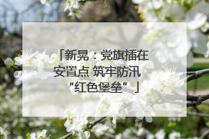 新晃：党旗插在安置点 筑牢防汛“红色堡垒”