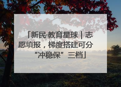 新民·教育星球｜志愿填报，梯度搭建可分“冲稳保”三档