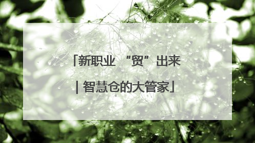 新职业 “贸”出来｜智慧仓的大管家