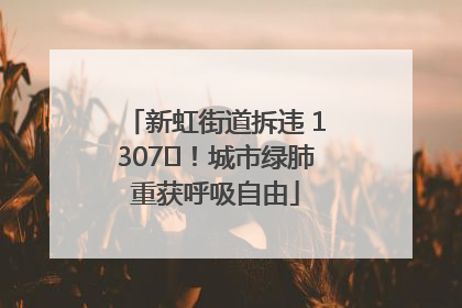 新虹街道拆违 1307㎡！城市绿肺重获呼吸自由