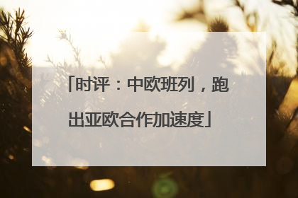 时评：中欧班列，跑出亚欧合作加速度
