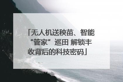 无人机送秧苗、智能“管家”巡田 解锁丰收背后的科技密码