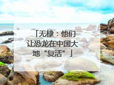 无棣：他们 让恐龙在中国大地“复活”
