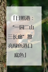 日照港：“一园二山三长廊”擦亮绿色港口底色