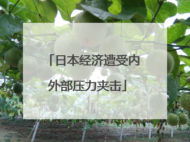 日本经济遭受内外部压力夹击
